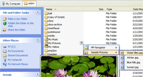 WindowsExplorer_Tab